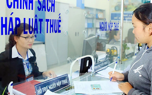 Hơn 617.000 doanh nghiệp vào diện rà soát trong chiến dịch làm sạch mã số thuế của ngành thuế