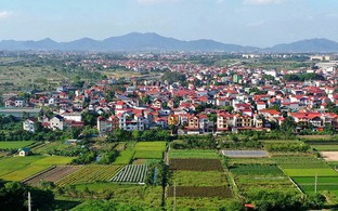 Cẩn trọng với giao dịch đất nông nghiệp bằng giấy viết tay