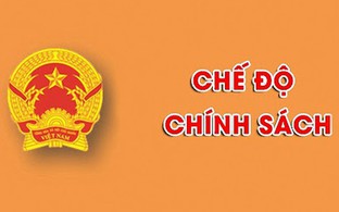 Những trường hợp được đóng bù BHXH để đủ điều kiện hưởng lương hưu