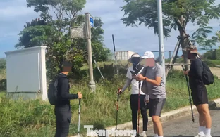 Cảnh báo việc trekking tự phát ở rừng đặc dụng Sơn Trà