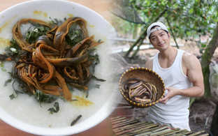 Khách Nhật ghen tị với món bán đầy chợ quê Việt Nam giá chưa tới 100.000 đồng/kg, trong khi ở quê anh loại tương tự đã mất 96% sản lượng tự nhiên