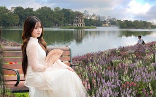 “Quyết không để các nàng thơ nhàm chán”: Hồ Gươm lại thay thảm hoa mới, Hà Nội dạo này thơ thế nhỉ!