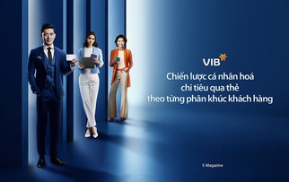 VIB - Chiến lược cá nhân hóa chi tiêu qua thẻ theo từng phân khúc khách hàng