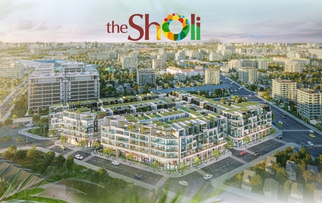 Chọn lối đi khác biệt, tâm tư của người kiến tạo the Sholi