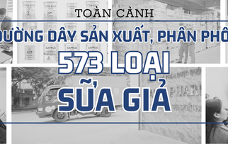 Toàn cảnh đường dây sản xuất, phân phối 573 loại sữa bột giả