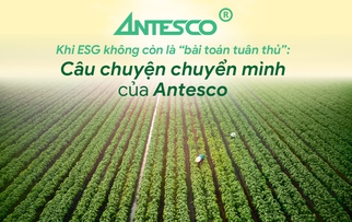 Khi ESG không còn là “bài toán tuân thủ”: Câu chuyện chuyển mình của Antesco