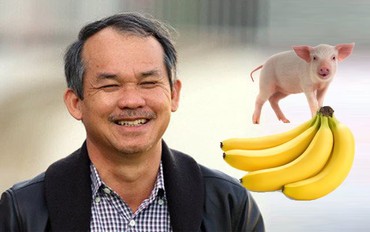 Hé lộ thu nhập của bầu Đức tại HAGL, bất ngờ với thù lao của "công thần" tạo ra công thức cho heo ăn chuối Hé lộ thu nhập của bầu Đức tại HAGL, bất ngờ với thù lao của "công thần" tạo ra công thức cho heo ăn chuối