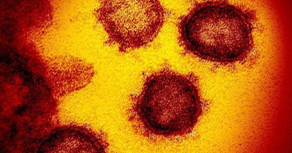 Lý do vì sao virus gây bệnh Covid-19 khó tiêu diệt đến thế: Kẻ nằm giữa 'hóa học và sinh học', 'sống và không sống'