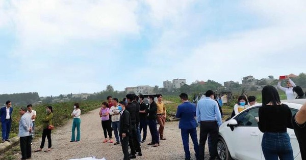 Nhân viên đa cấp, bán bảo hiểm lao vào cơn ‘sốt đất’ làm môi giới