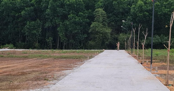 Rao bán đất trồng cây thành khu phân lô nghỉ dưỡng trong ‘cơn sốt’
