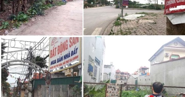 Cò đất ‘lướt cọc’ tạo sóng