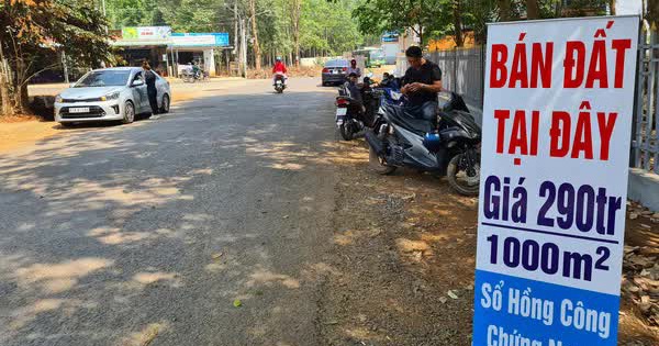 Phó Thủ tướng chỉ đạo kiểm soát giá bất động sản, xử nghiêm việc lợi dụng thông tin để “thổi” giá đất