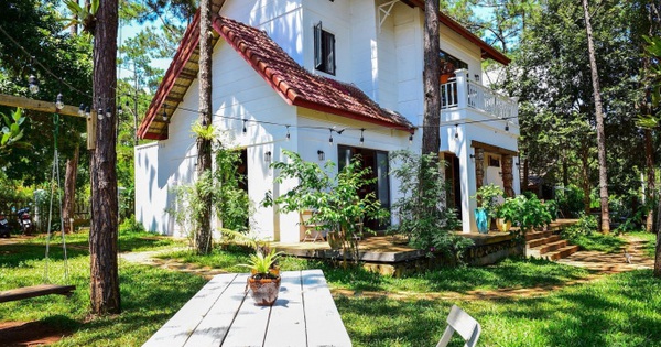 Sốt đất Măng Đen giá biệt thự tăng gấp 23 lần, Kon Tum đấu giá tìm chủ cho dự án Khu biệt thự, liền kề 145 lô
