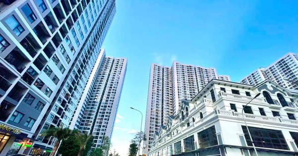 Thị trường cho thuê chung cư “lao đao” vì dịch