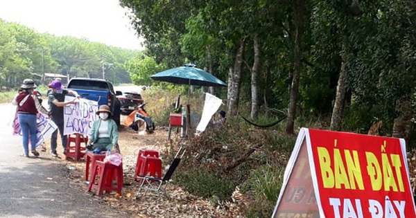 Góc khuất nghề môi giới: Phía sau những cơn sốt đất, lũng loạn thị trường bất động sản ở nhiều địa phương