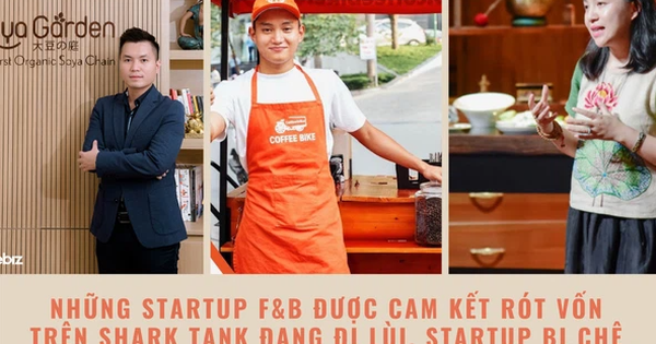 5 startup F&B từng gọi vốn trên Shark Tank giờ ra sao? Soya Garden lên đỉnh rồi sẩy chân, những startup bị vùi dập sau 4 năm vẫn sống khỏe! - Vimarsana News
