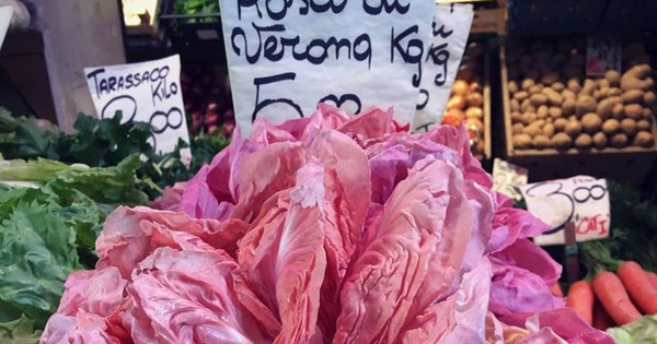 Những ví dụ chứng minh rau củ không hề "rẻ bèo" như bạn vẫn nghĩ, có loại cả triệu đồng mỗi ký vẫn chưa chắc mua được - Vimarsana News