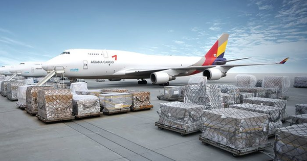 Chính phủ yêu cầu Bộ Giao thông ra báo cáo về hãng hàng không vận tải IPP Air Cargo giữa tháng 7 tới - Vimarsana News