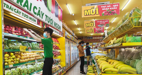 Mở rộng mạnh mẽ để thu hẹp với Saigon Co.opp, VinMart, Bách Hoá Xanh đánh đổi bằng khoản lỗ tăng bằng lần qua từng năm, âm gần 2.000 tỷ năm 2020 - Vimarsana News
