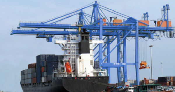 Không có khoản thu cổ tức từ Tiếp vận SITC, Cảng Đình Vũ (DVP) vẫn lãi 133 tỷ đồng sau thuế trong 6 tháng - Vimarsana News