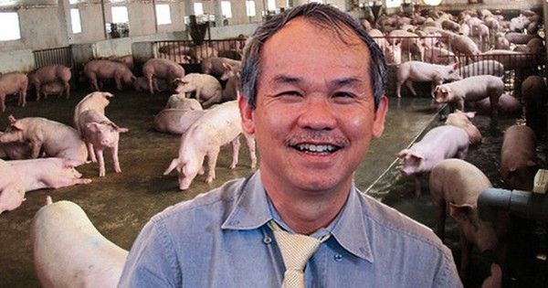 HAGL: Chuyển từ lỗ ngàn tỷ sang có lãi, mảng nuôi heo sau 1 năm đã thu về 94 tỷ lãi gộp trong quý 2 - Vimarsana News