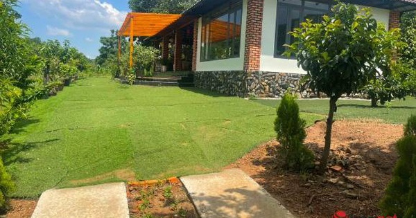Dựng nhà vườn đẹp đẽ 3ha, bị kiểm tra, chủ nhà nói chỉ là 'chuồng chó' - Vimarsana News