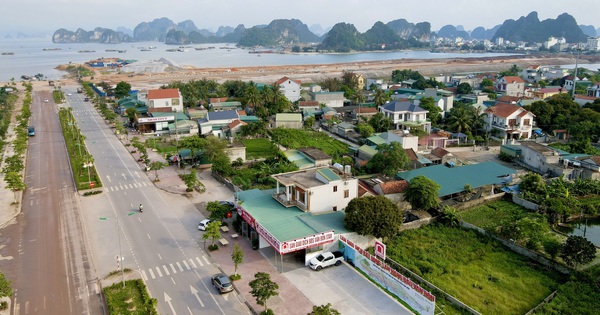 Nhà đầu tư thông minh sẽ dành tiền để kinh doanh bất động sản và ở nhà thuê?