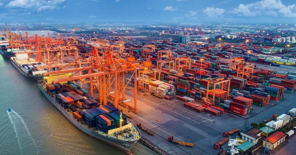 Giá cước vận tải biển tiếp tục leo thang, doanh nghiệp thuỷ sản đứng trước tình trạng thua lỗ trầm trọng - Vimarsana News