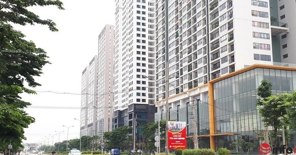 Cách kiếm tiền của những nhà đầu tư khôn ngoan: Thuê chung cư để ở và dành tiền đầu tư nhà mặt đất