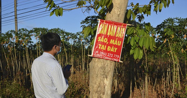 Giàu lên nhờ bất động sản, nhà đầu tư kỳ cựu này “bật mí” bí quyết ít gặp rủi ro