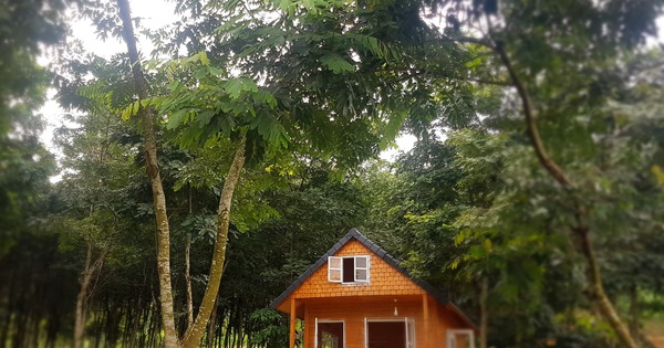 Trốn dịch, bỏ Sài Gòn về rừng sống, gia đình trẻ được chan hoà với thiên nhiên cây cỏ, nhưng đây mới thực là “nỗi khiếp sợ” khi ở trong Farmstay 2 tháng trời