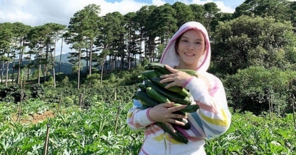 Môi giới bất động sản bị phạt nặng vì đăng tin Lý Nhã Kỳ đi săn bất động sản Đà Lạt