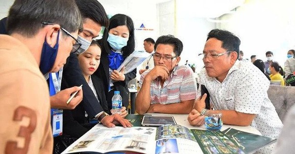 m.cafef.vn