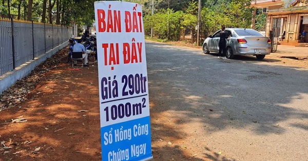 Nhà đầu tư kỳ cựu “săn” hàng bán tháo: “Chỉ thấy bán lãi mà chưa thấy cắt lỗ”