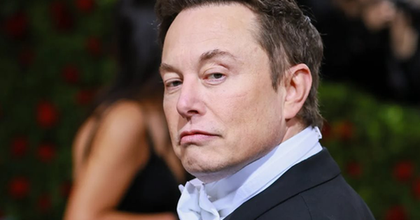 efforts of musk to save twitter