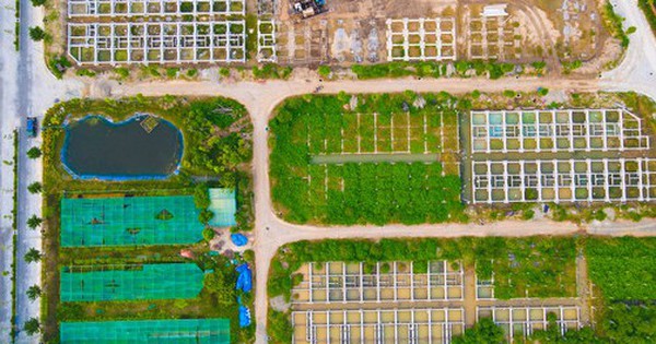 Điều gì khiến giới chuyên gia lạc quan dự báo thị trường bất động sản hồi phục vào năm 2023?