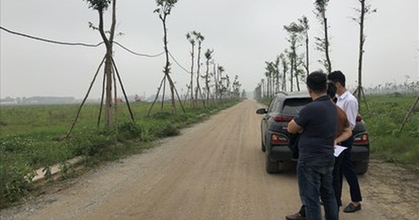 Read more about the article Đất tăng “nóng”, người dân đua nhau đi làm “cò đất”