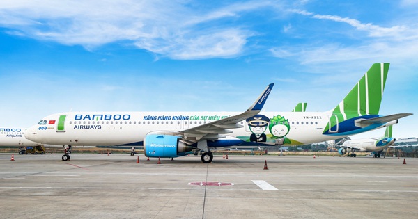Lãnh đạo Bamboo Airways nói gì về việc khởi tố và bắt tạm giam Chủ tịch hãng bay