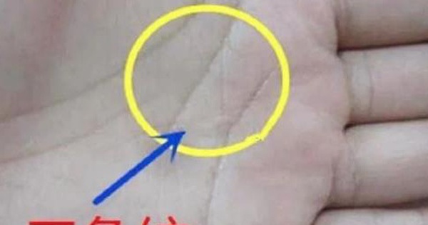 Đường chỉ tay hình tam giác xuất hiện ở vị trí nào trong lòng bàn tay thường được coi là biểu hiện của điều gì?
