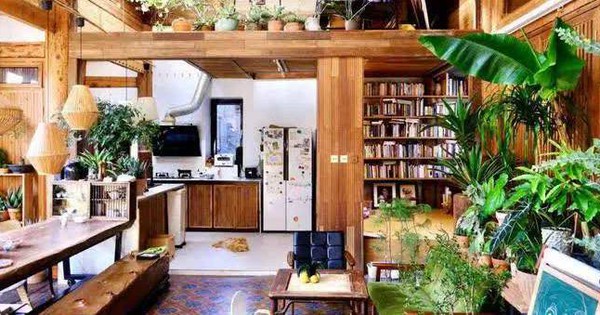 Cặp đôi 8X trồng vườn bách thảo hơn 600 loại cây trong nhà giữa phố