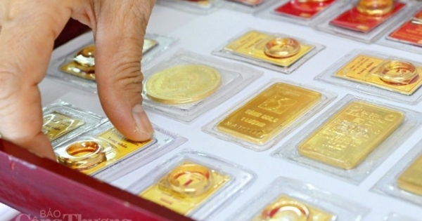ราคาทองคำพุ่งแตะระดับใหม่อย่างต่อเนื่อง Decree 24/2012/ND-CP จะแก้ไขเมื่อใด