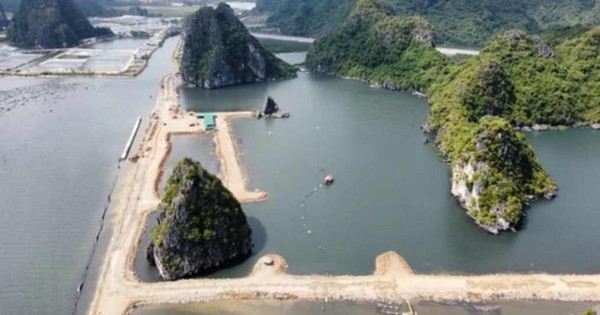 Bộ Tài nguyên – Môi trường lên tiếng vụ vùng đệm vịnh Hạ Long bị san lấp làm khu đô thị