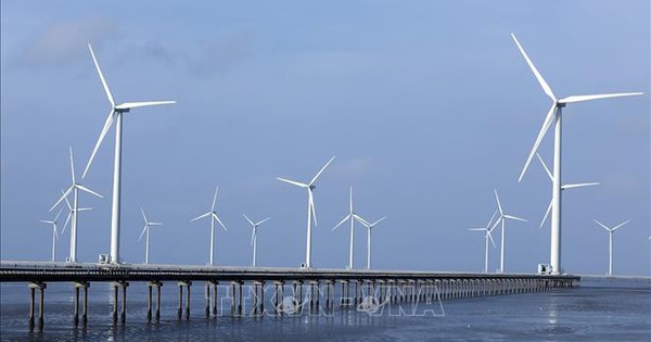 Xuất khẩu điện gió ngoài khơi: Sớm chốt cơ chế để không 'vào ô mất lượt'