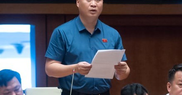 Đề nghị mở rộng đối tượng cho thuê đất không qua đấu giá