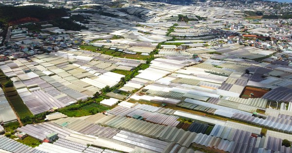 Lâm Đồng đề nghị gói vay ưu đãi 4.800 tỉ cho đề án di dời nhà kính khỏi nội ô Đà Lạt