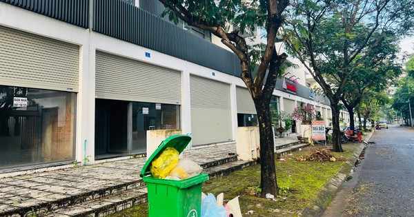 Rêu xanh, cỏ dại phủ lối đi