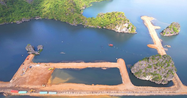 Phạt chủ đầu tư 125 triệu đồng