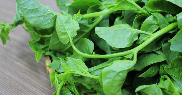 1 loại rau được coi là “rau vua”, có tác dụng ngăn ngừa ung thư, giảm ...