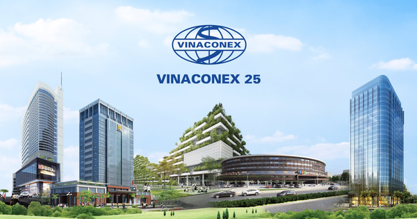 Công ty thuộc họ Vinaconex vừa thu về 120 tỷ đồng từ bán cổ phiếu để trả nợ ngân hàng