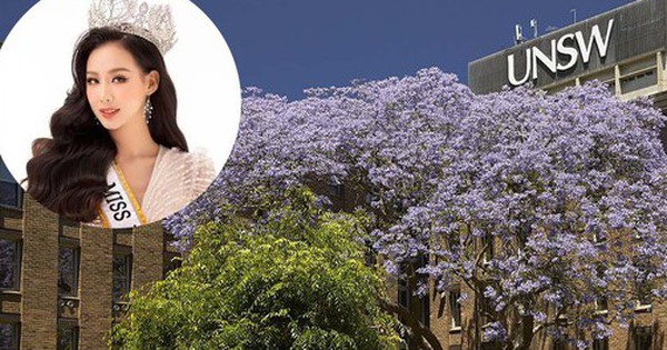 Ngôi trường Hoa hậu Bảo Ngọc vừa nhận học bổng 230 triệu: Xếp hạng hàng đầu nước Úc, khuôn viên thơ mộng và hiện đại bậc nhất